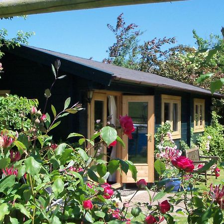Pet Friendly - Hikers Paradise - South Facing 韦尔斯 外观 照片